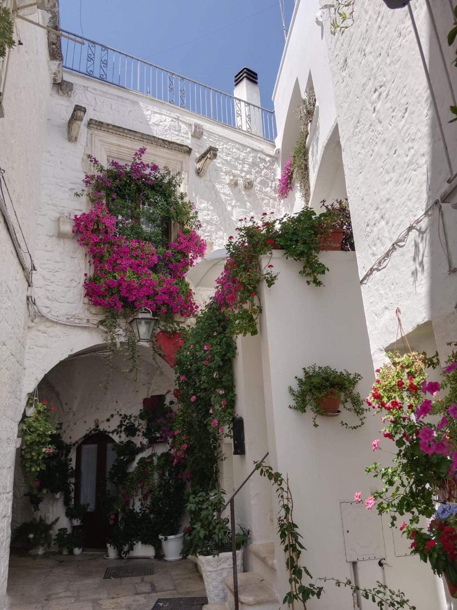 Palazzoliva - Luxury Boho Chic Guest House In The Historic Heart Of 마르티나프란카 외부 사진