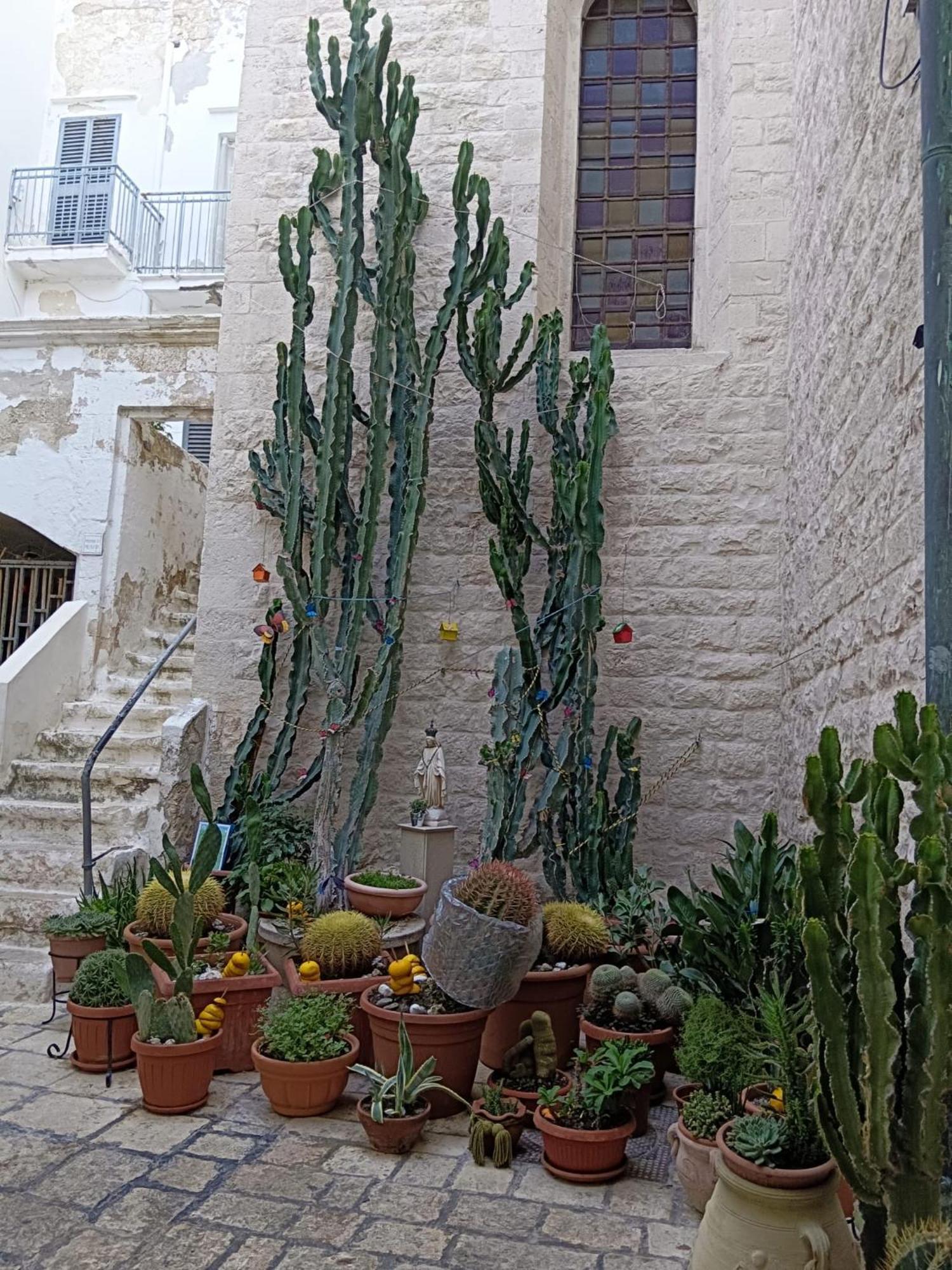 Palazzoliva - Luxury Boho Chic Guest House In The Historic Heart Of 마르티나프란카 외부 사진
