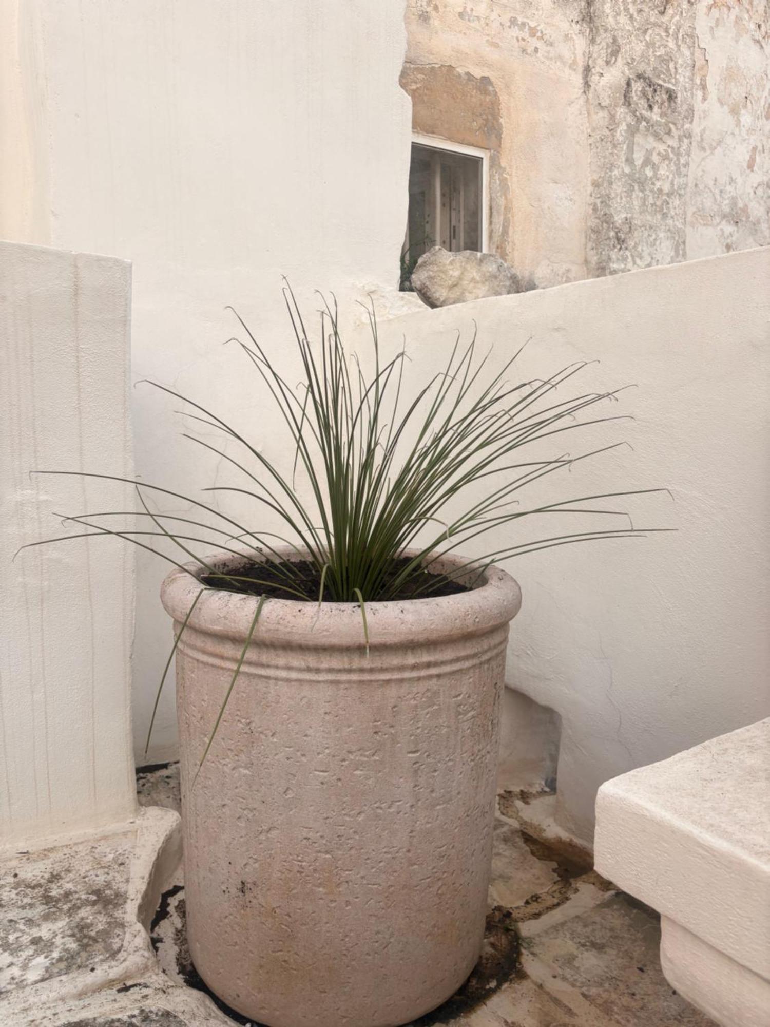 Palazzoliva - Luxury Boho Chic Guest House In The Historic Heart Of 마르티나프란카 외부 사진
